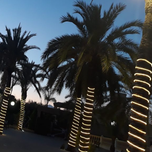 manguera led luminosa blanco 500x500 top luz