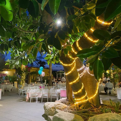 manguera led luminosa topluz amarillo