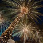 Guirnalda de luces led cálida cable verde