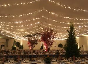 Guirnalda Led Cálido Cable Blanco 12M