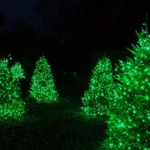 Guirnalda de luces led verde 3x4m cable verde