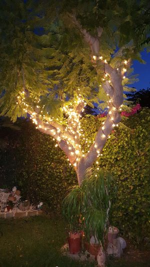 GUIRNALDA MINI BOLAS LED 3M