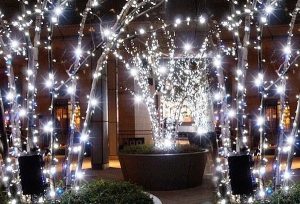 Guirnalda de luces Led todo flash Blanco