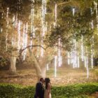 cluster guirnalda colgante