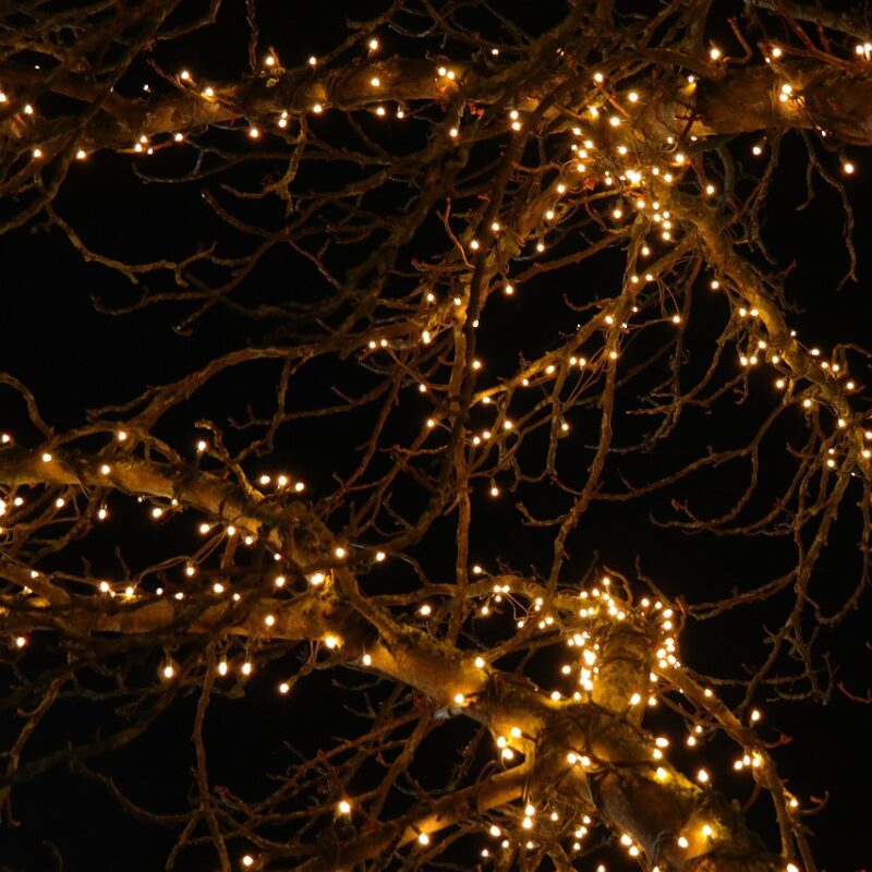 decoración luminosa árboles exterior