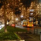 guirnalda de led cable negro