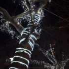 manguera de led navidad