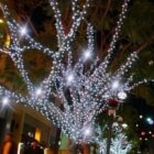 guirnalda led blanco 3x4 flash