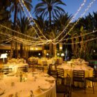 guirnalda de led calida 21m