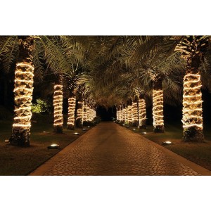 decoración con manguera de led