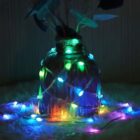 Guirnaldas mini led RGB inteligente